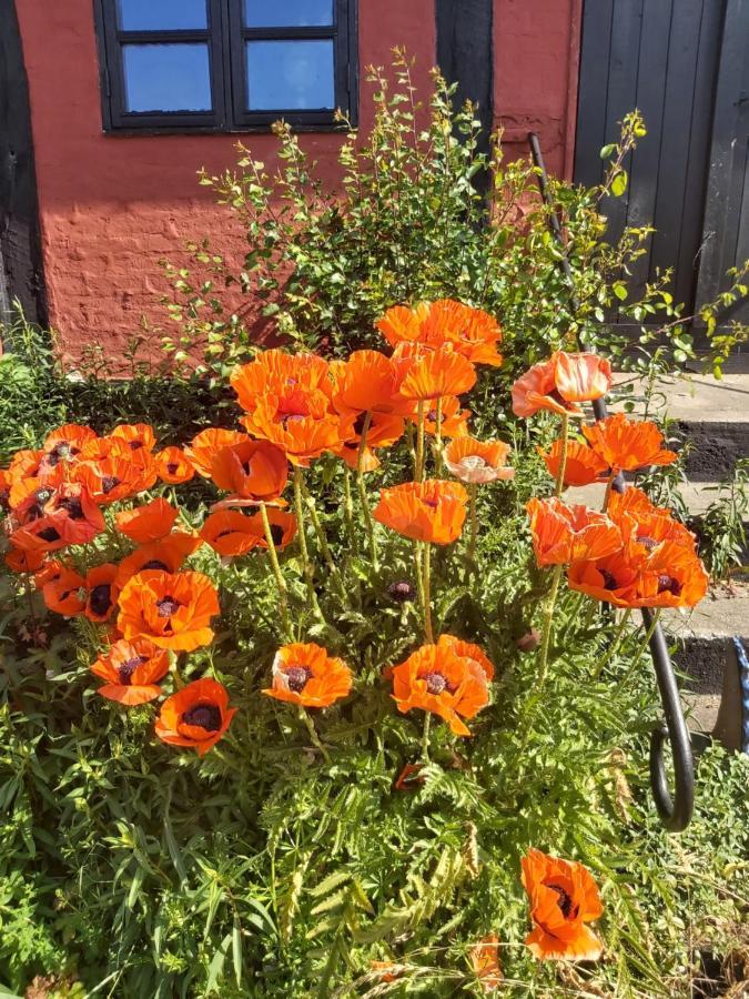 Bolshavnvej5 Bed & Breakfast Bagian luar foto